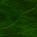  (128x128, 6Kb)