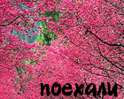 (140x112, 21Kb)