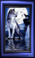  (122x200, 32Kb)