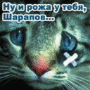  (128x128, 12Kb)