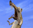  (110x95, 34Kb)