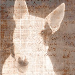  (149x149, 41Kb)