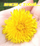  (137x160, 21Kb)