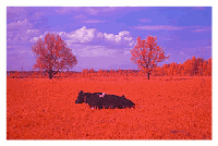  (200x134, 34Kb)