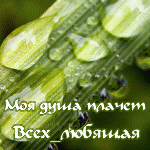  (150x150, 35Kb)