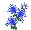  (61x59, 4Kb)