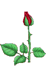  (91x131, 37Kb)