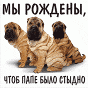  (176x176, 11Kb)