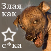  (100x100, 9Kb)