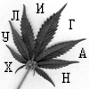  (100x100, 10Kb)