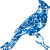  (100x100, 2Kb)