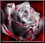  (145x140, 24Kb)