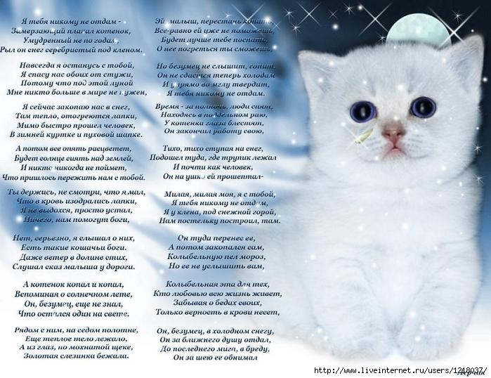 Стих о животных трогательные Стих о животных трогательные