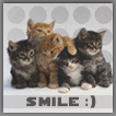  (106x106, 9Kb)