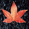  (100x100, 8Kb)