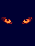  (120x160, 7Kb)