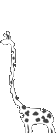  (56x133, 1Kb)
