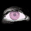  (100x100, 24Kb)