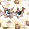  (100x100, 24Kb)
