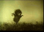  (142x106, 34Kb)