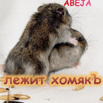  (150x150, 38Kb)