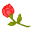  (50x50, 1Kb)