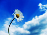  (160x120, 6Kb)