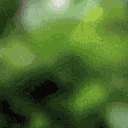  (128x128, 56Kb)