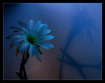  (150x119, 7Kb)