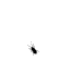50258643646a78f7a94f89sf6 (75x56, 3Kb)