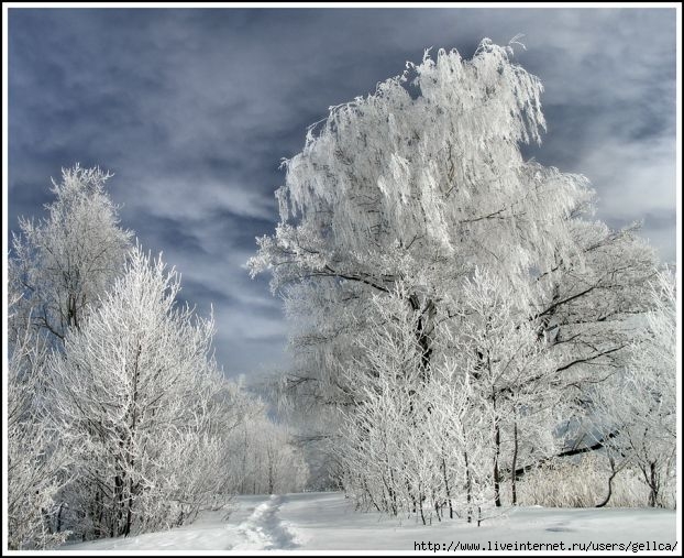 секс знакомства г балахта