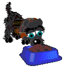  (127x135, 13Kb)