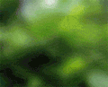  (120x97, 57Kb)