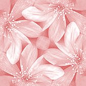 26755082_21027469_23it3j61 (170x170, 9Kb)