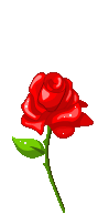  (89x193, 16Kb)