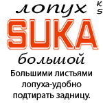  (150x150, 45Kb)