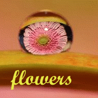  (191x191, 89Kb)