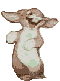  (60x81, 7Kb)