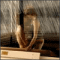 1032440_1487785 (120x120, 16Kb)