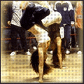  (120x120, 17Kb)