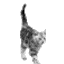  (64x64, 7Kb)