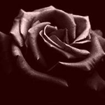  (150x150, 23Kb)