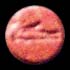  (70x70, 1Kb)