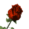  (100x100, 13Kb)