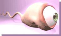 (195x115, 36Kb)