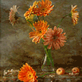  (120x120, 37Kb)
