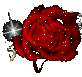  (82x77, 5Kb)