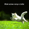  (100x100, 8Kb)