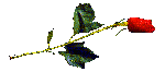  (150x66, 2Kb)