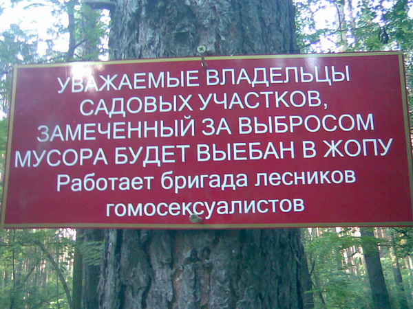 http://img1.liveinternet.ru/images/attach/b/2/21/527/21527814_forestgomo.jpg